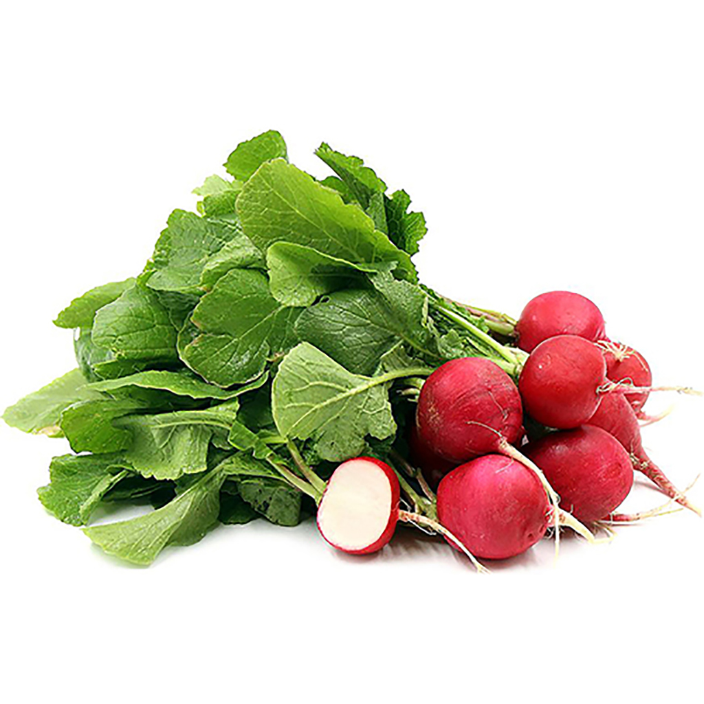 Organic Radish ,الفجل العضوي