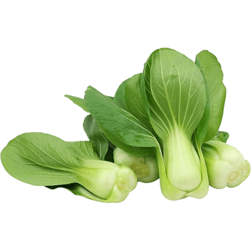 Bok Choy, بوك تشوي