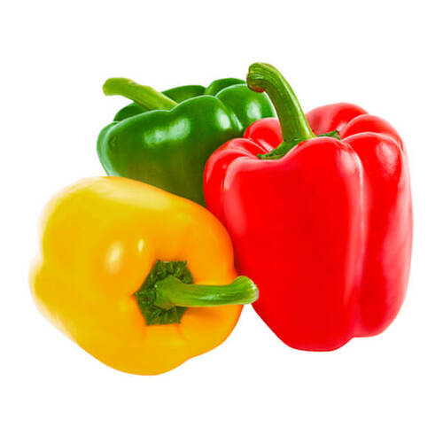 Organic Mix Capsicum,مزيج الفلفل العضوي