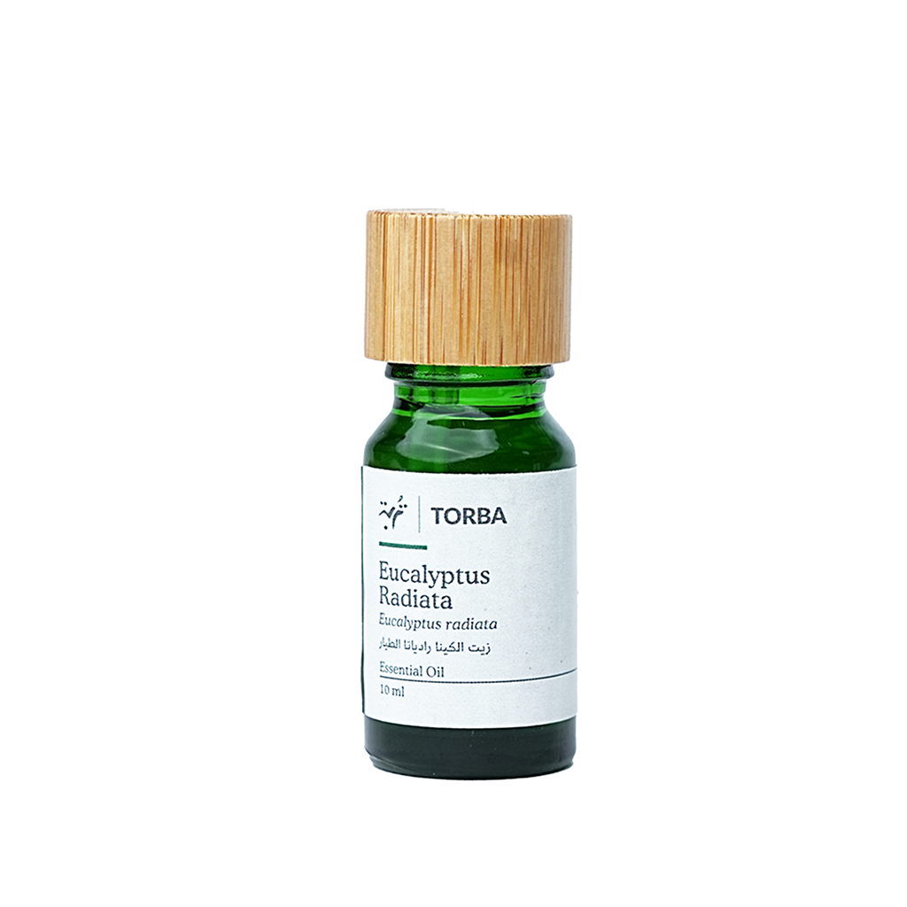 Eucalyptus Radiata Essential Oil 10ml, زيت الكينا رادياتا الطيار