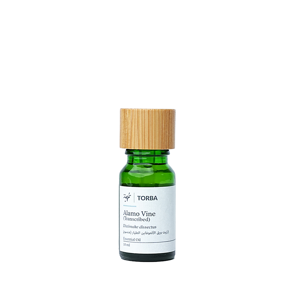 Alamo Vine Essential Oil 10ml, زيت ورق الألموفاين الطيار