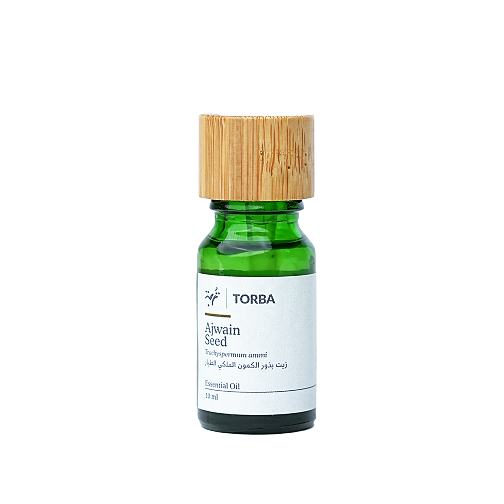 Ajwain Seed Essential Oil 10ml, زيت الكراوية الطيار