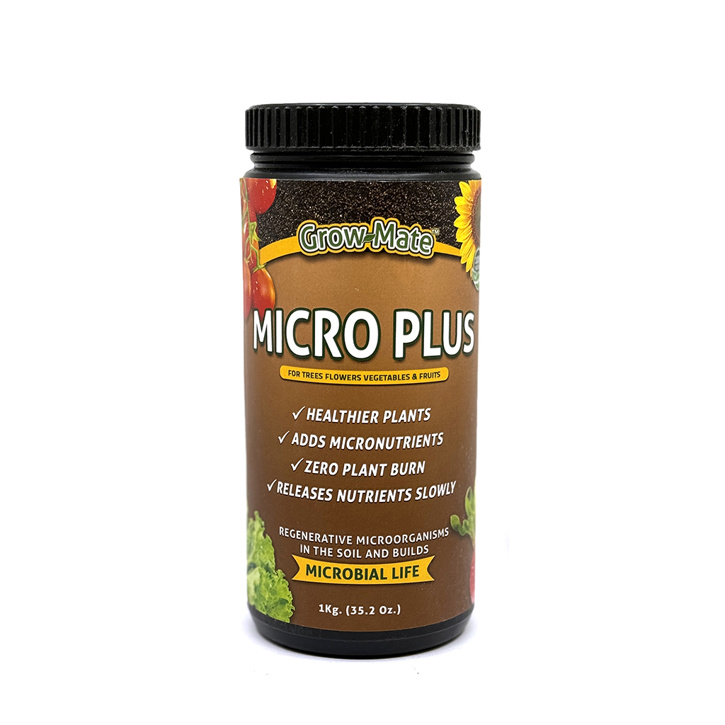 Micro Plus, مايكرو بلس