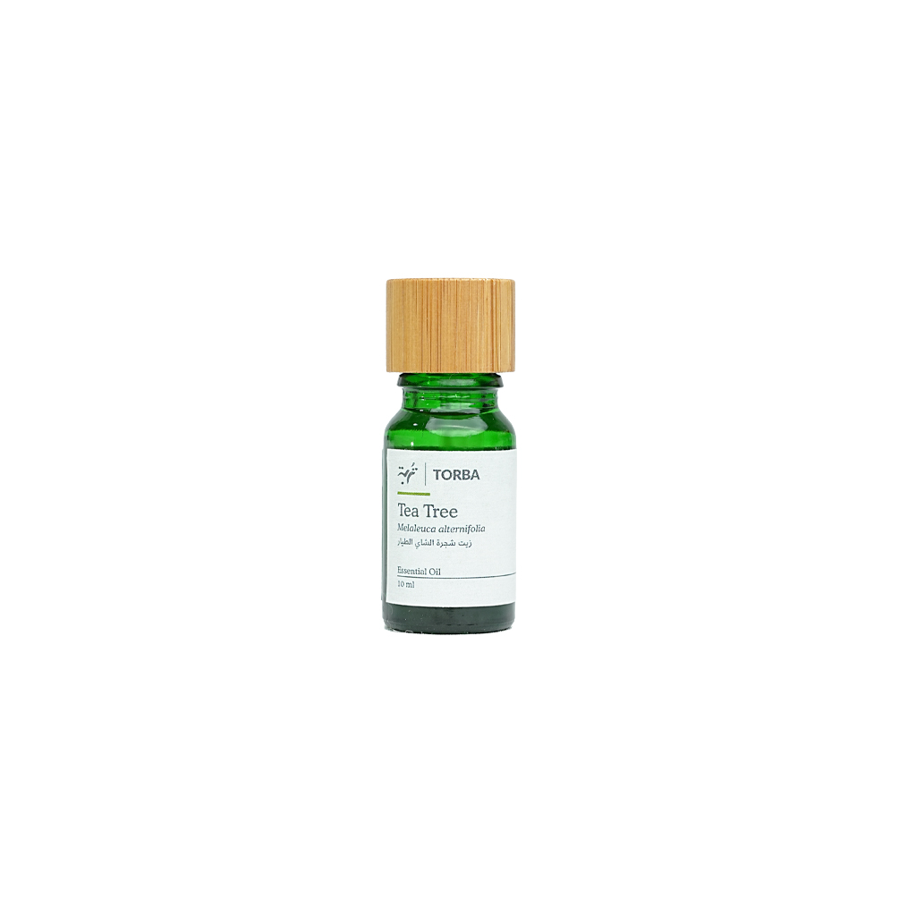 Tea Tree Essential Oil 10ml  ,زيت شجرة الشاي الاطيار