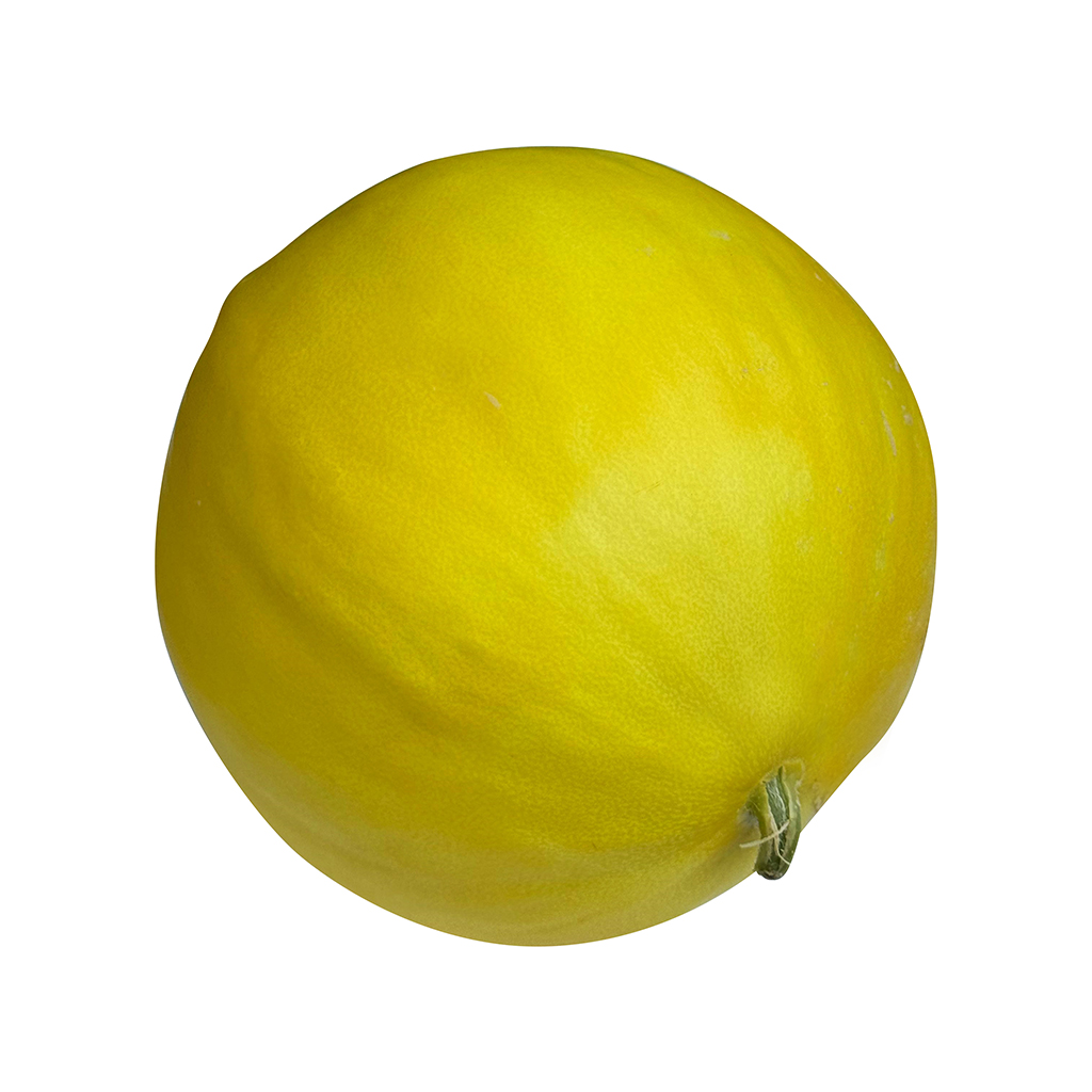 Local Honeydew Melon ,بطيخ عسلي محلي