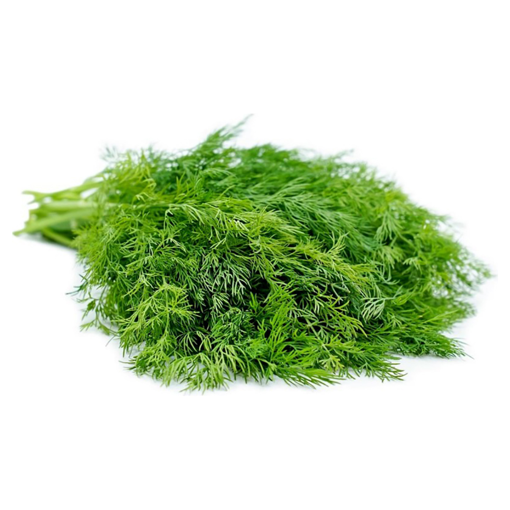 Dill Leaves ,أوراق الشبت