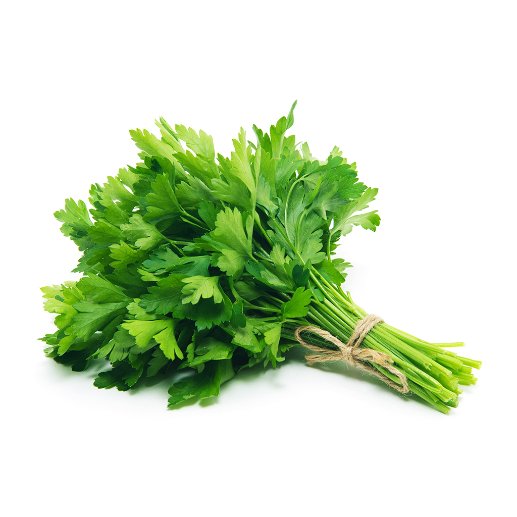 Parsley ,بقدونس