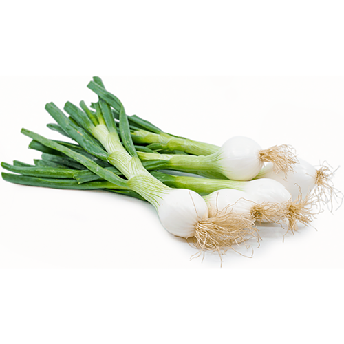 Green Onion ,بصل أخضر محلي