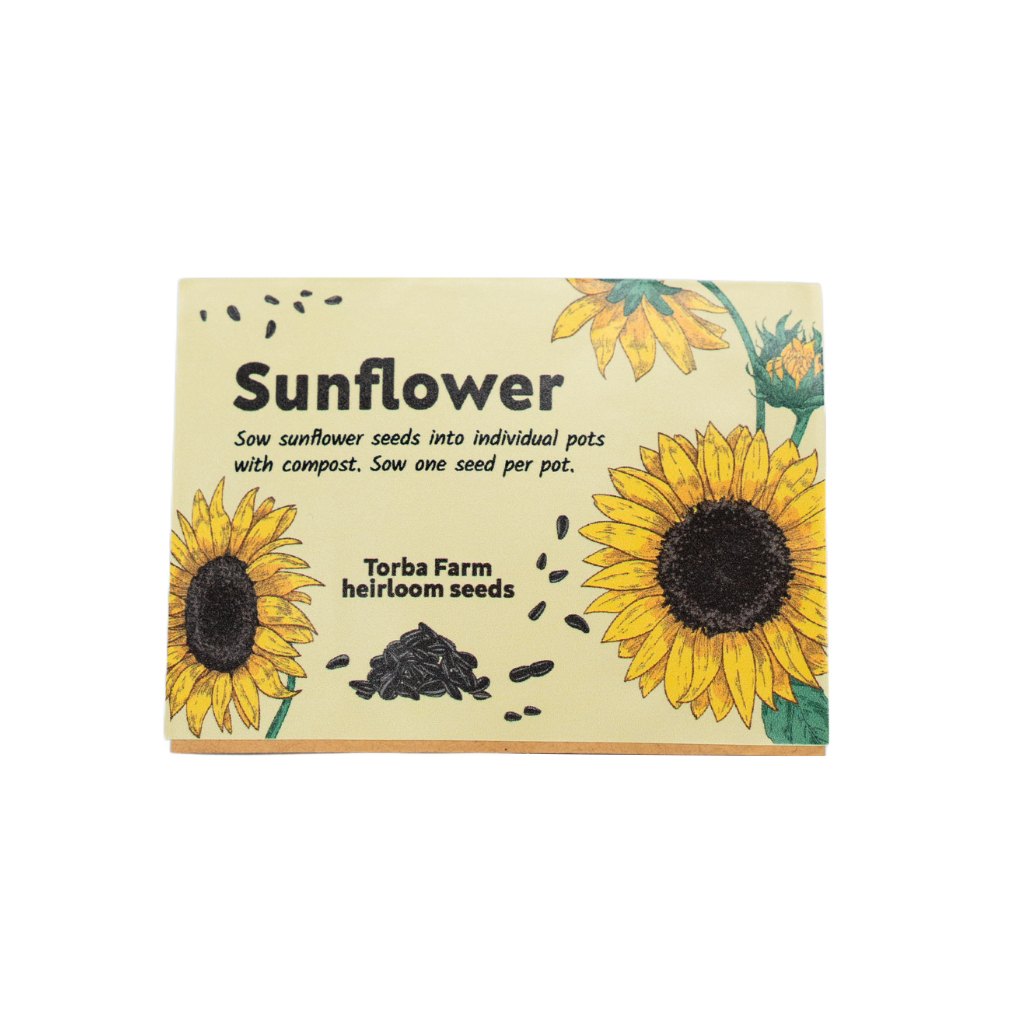 Sunflower Seeds ,حبوب دوار الشمس