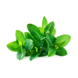 Mint ,نعناع