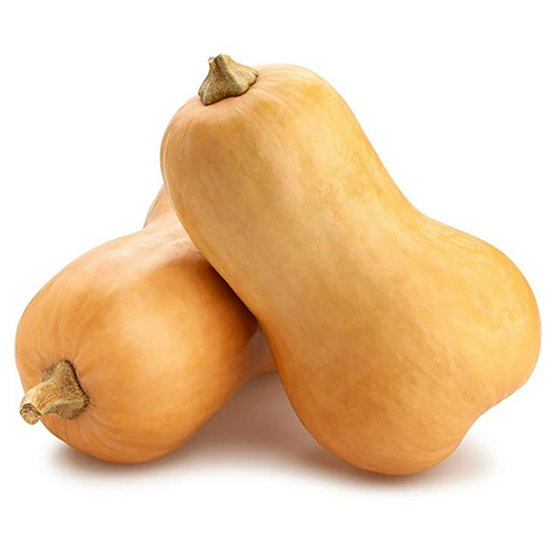 Butternut Squash ,القرع العسلي