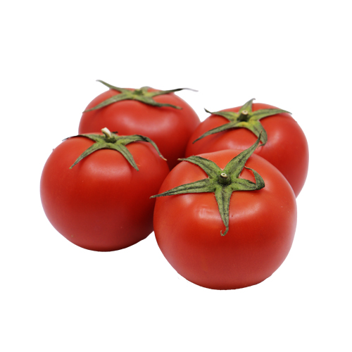 Tomatoes ,طماطم محلية