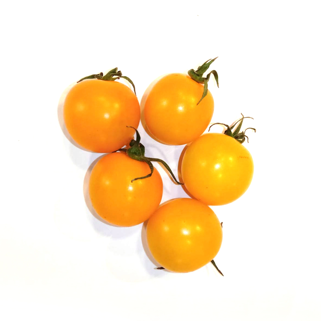 Yellow Cherry Tomato ,طماطم كرزية محلية صفراء