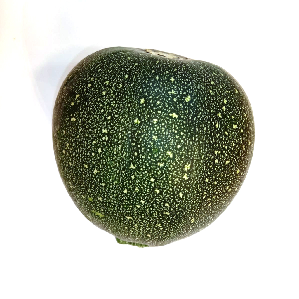 Green Ball Zucchini ,كوسة الكرة الخضراء