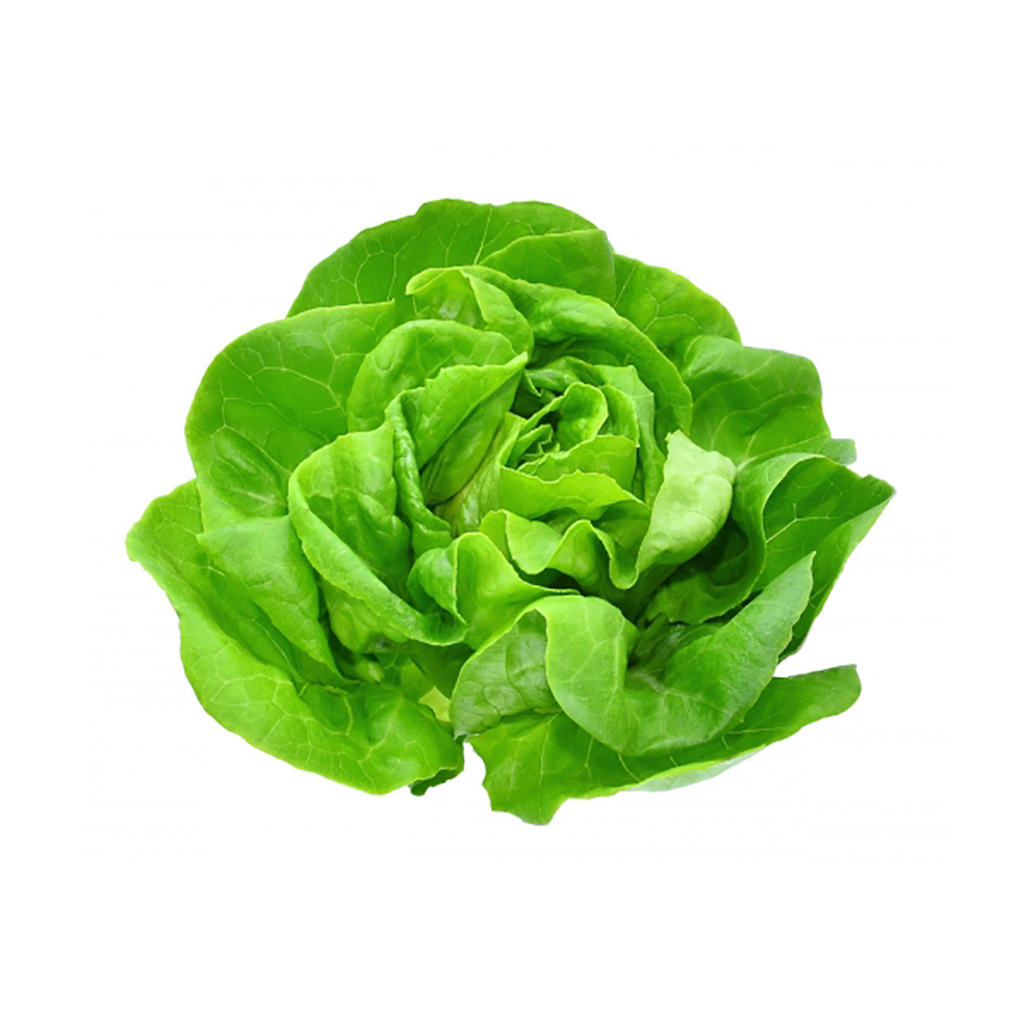 Organic Butter Lettuce ,زبدة الخس