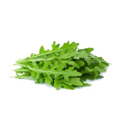 Organic Rucola ,جرجير عضوي